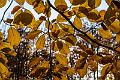 2015_10_26 (0063)